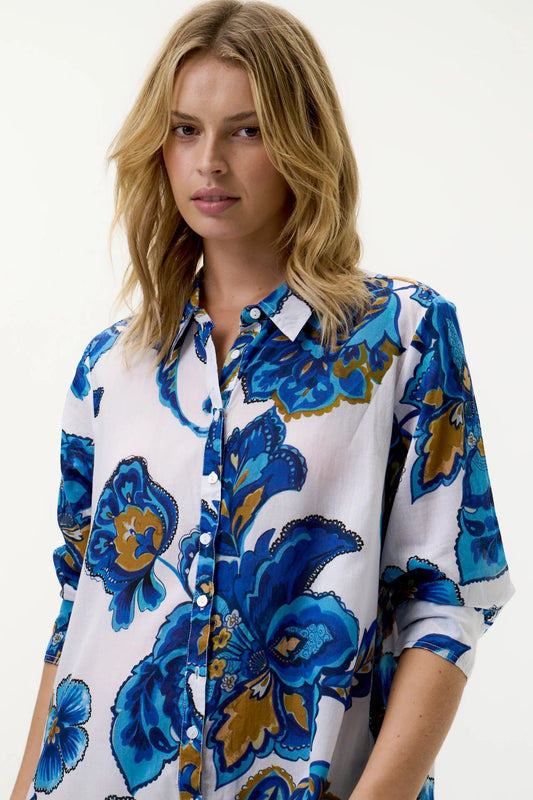 One Season Broome Daisy