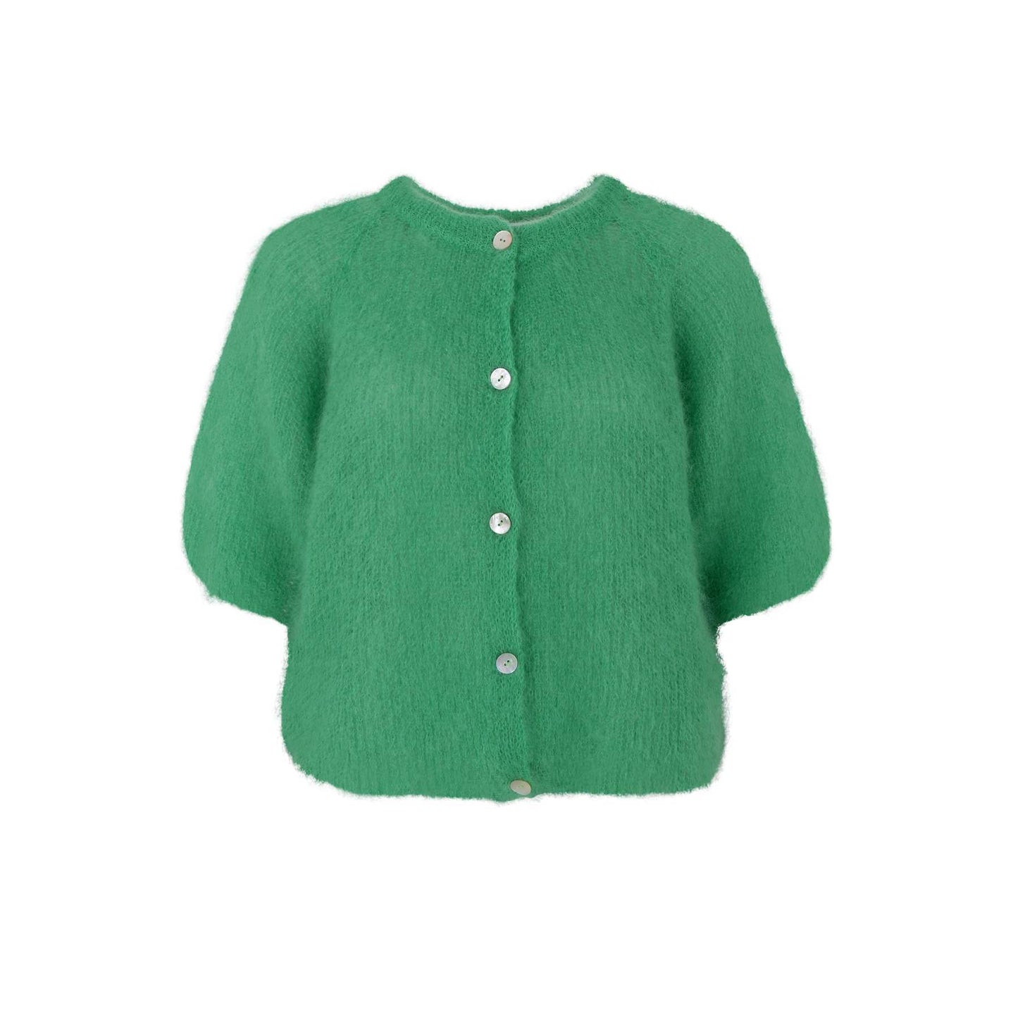 Black Colour Bjoerk Patent Cardigan Grønn